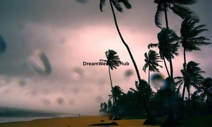 KRISHNA DIGITAL PHOTO STUDIO